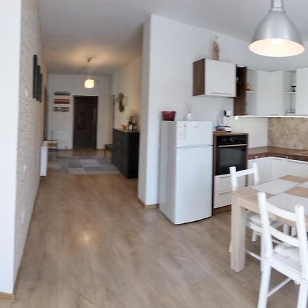Apartament de lux cu terasă situat în vilă Apartment Timişoara Exterior foto