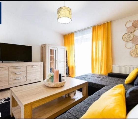 Apartament de lux cu terasă situat în vilă Apartment Timişoara Exterior foto