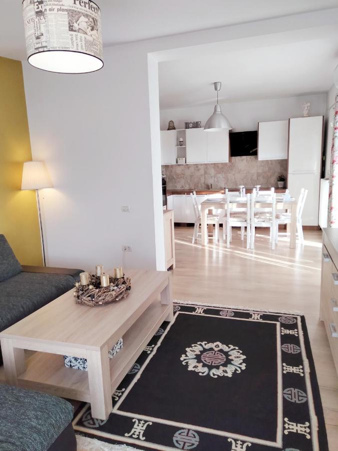 Apartament de lux cu terasă situat în vilă Apartment Timişoara Exterior foto