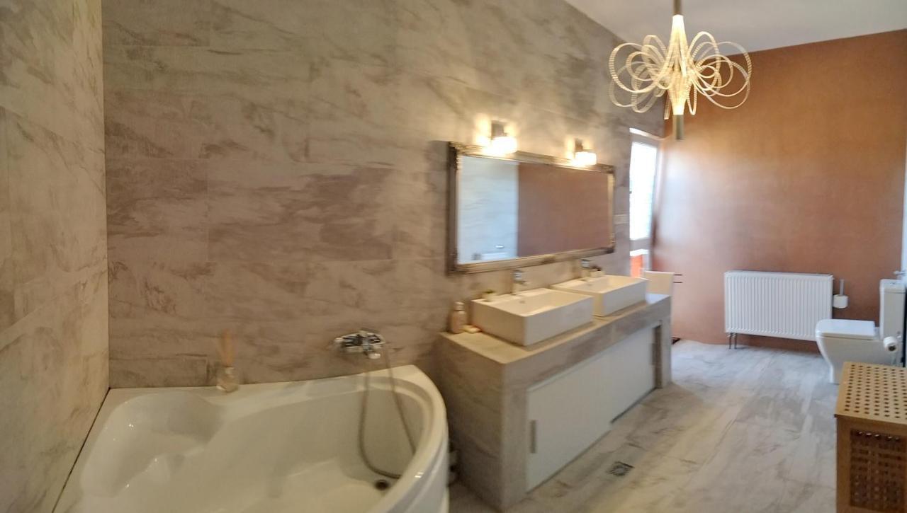 Apartament de lux cu terasă situat în vilă Apartment Timişoara Exterior foto