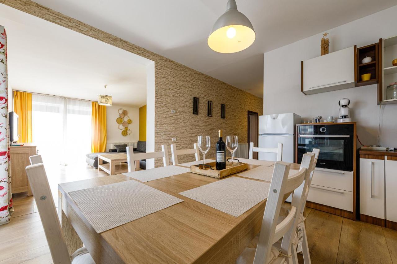 Apartament de lux cu terasă situat în vilă Apartment Timişoara Exterior foto